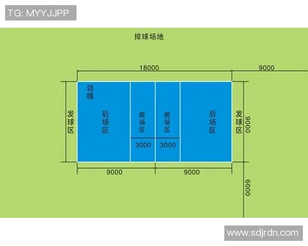广州排球队状态深度对比分析与未来发展展望