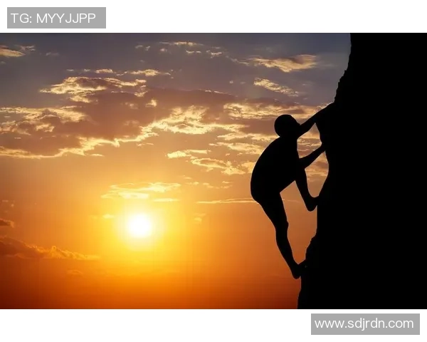 极限运动的魅力与挑战：深入解析上海极限运动队的战术与训练秘诀